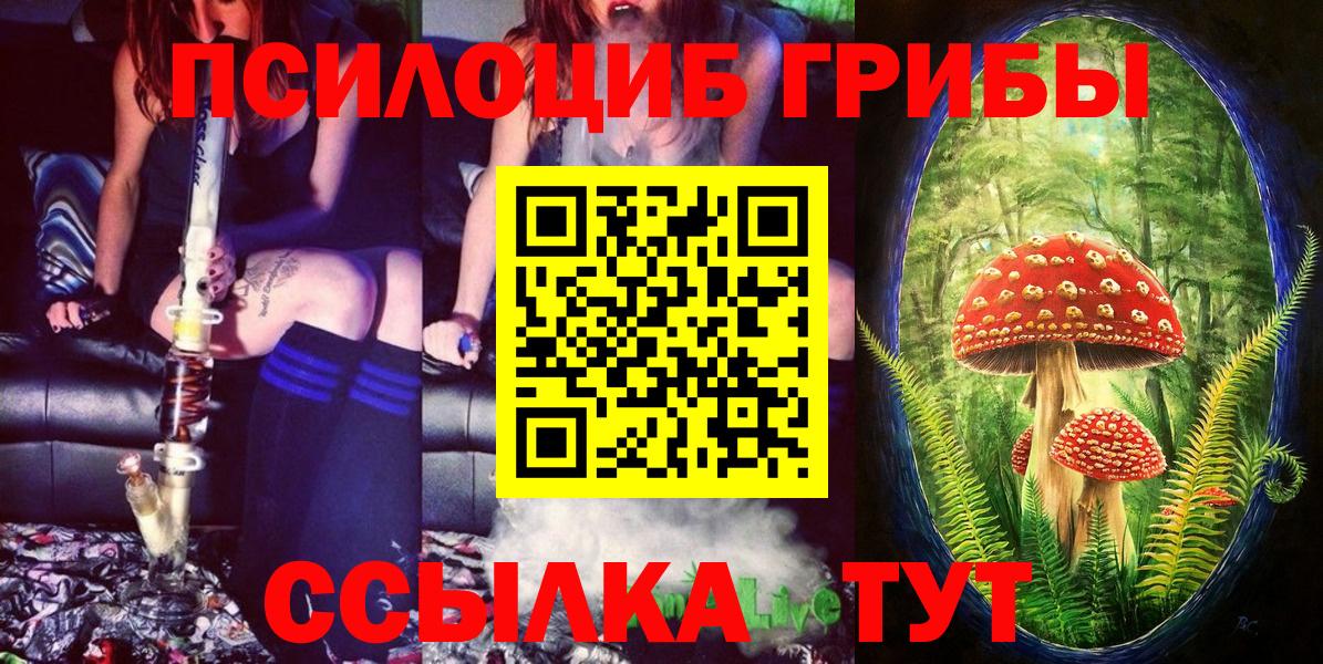 Лесной  Псилоцибиновые грибы Magic Shrooms  Псилоцибиновые грибы GOLDEN TEACHER  Вход с VPN 