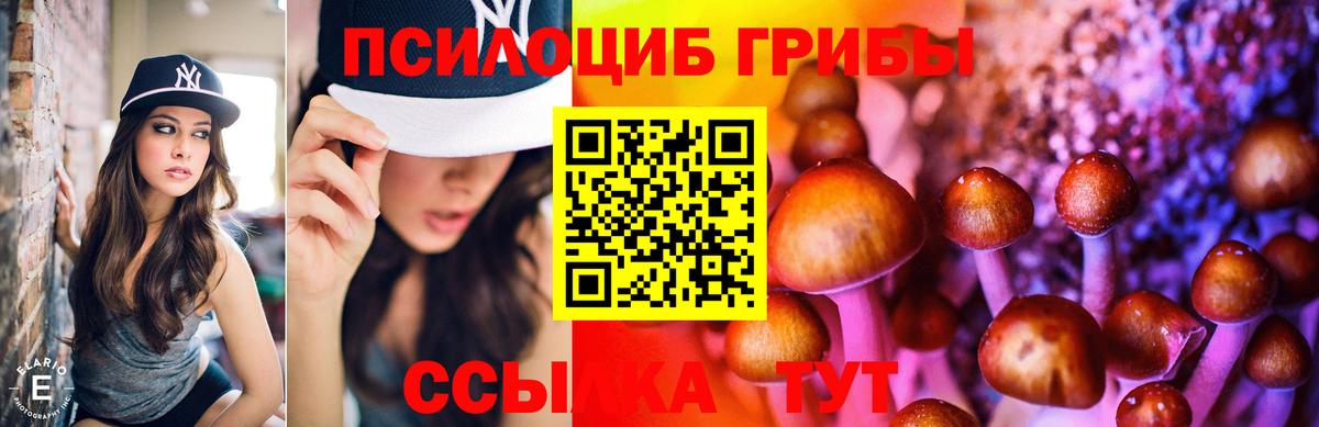 Псилоцибиновые грибы GOLDEN TEACHER Лесной